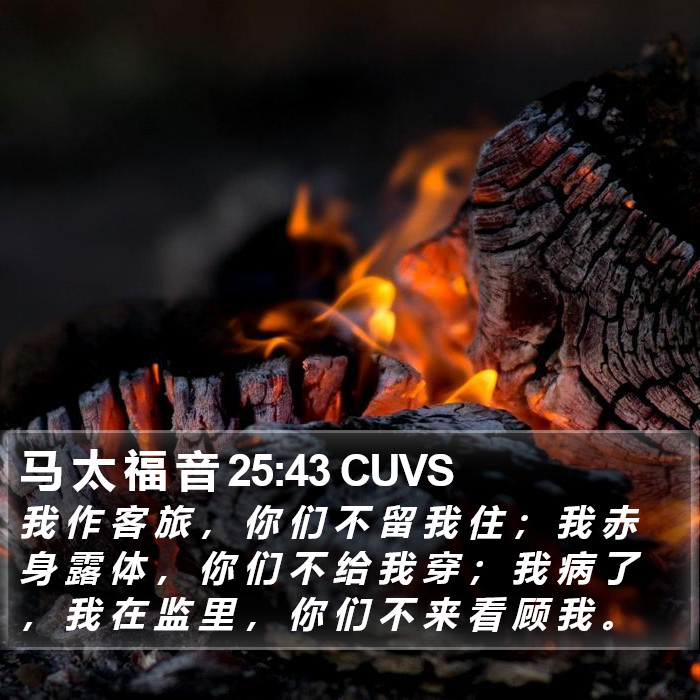 马 太 福 音 25:43 CUVS Bible Study