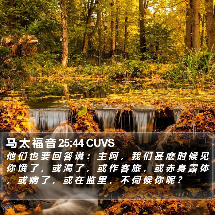 马 太 福 音 25:44 CUVS Bible Study