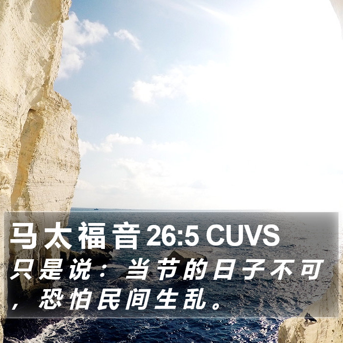 马 太 福 音 26:5 CUVS Bible Study