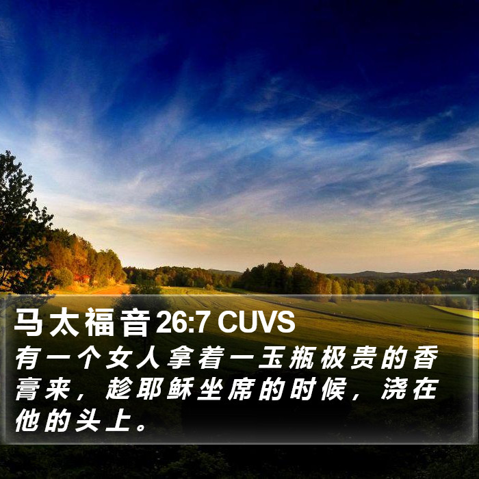 马 太 福 音 26:7 CUVS Bible Study