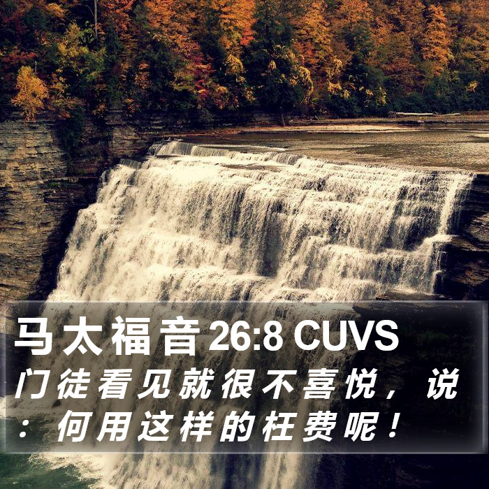 马 太 福 音 26:8 CUVS Bible Study