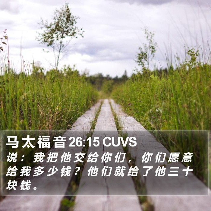 马 太 福 音 26:15 CUVS Bible Study
