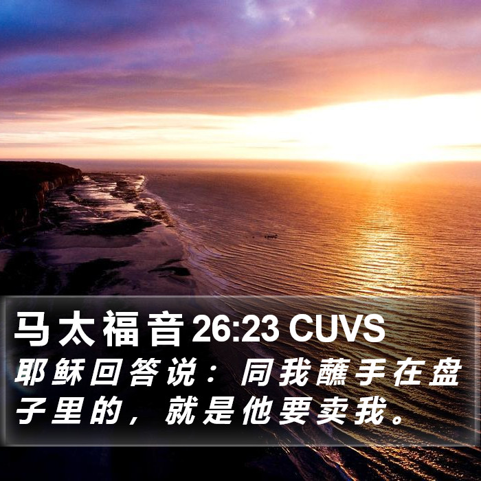 马 太 福 音 26:23 CUVS Bible Study