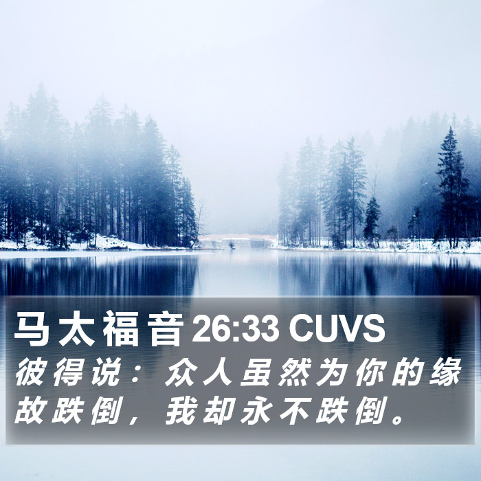 马 太 福 音 26:33 CUVS Bible Study