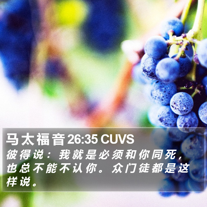 马 太 福 音 26:35 CUVS Bible Study