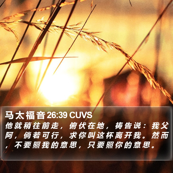 马 太 福 音 26:39 CUVS Bible Study