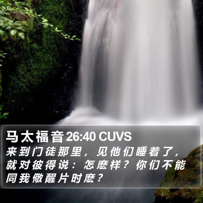 马 太 福 音 26:40 CUVS Bible Study