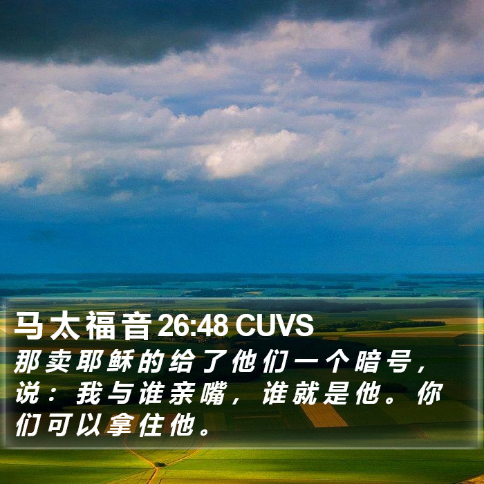马 太 福 音 26:48 CUVS Bible Study