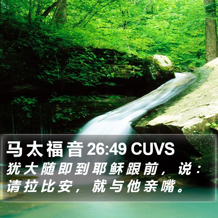 马 太 福 音 26:49 CUVS Bible Study