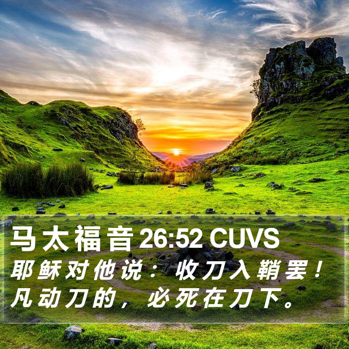 马 太 福 音 26:52 CUVS Bible Study