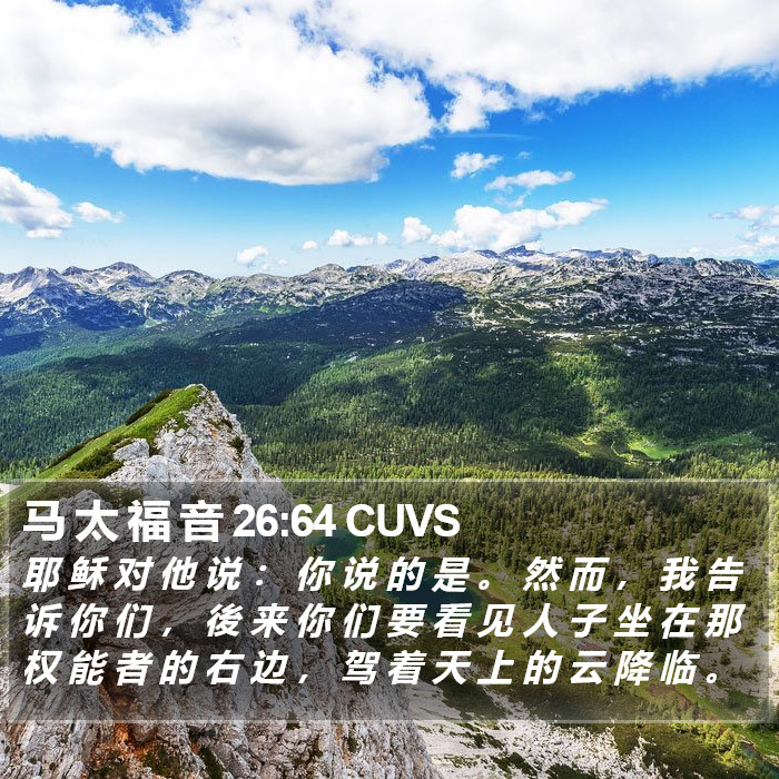 马 太 福 音 26:64 CUVS Bible Study