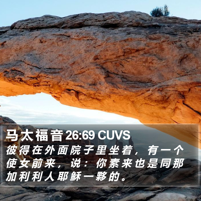 马 太 福 音 26:69 CUVS Bible Study