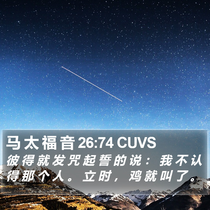 马 太 福 音 26:74 CUVS Bible Study