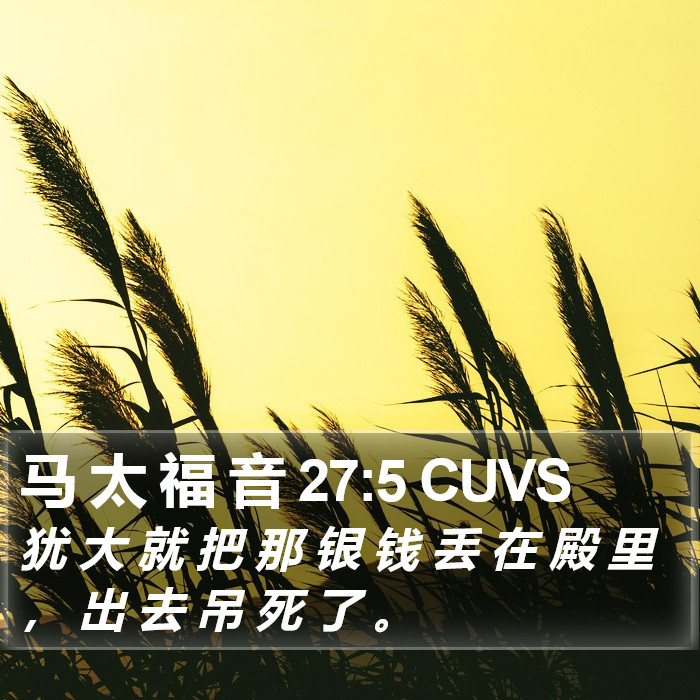 马 太 福 音 27:5 CUVS Bible Study