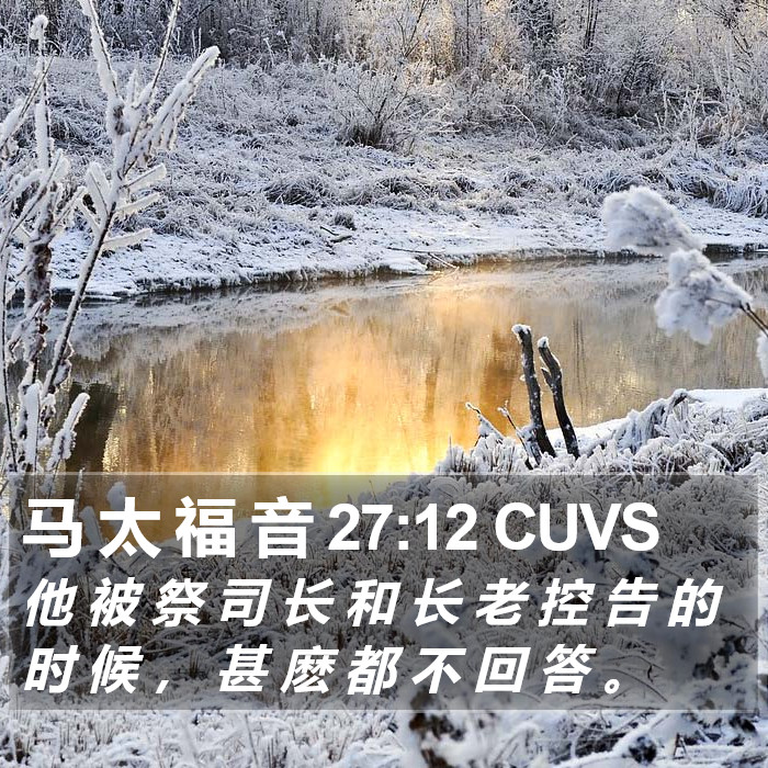 马 太 福 音 27:12 CUVS Bible Study