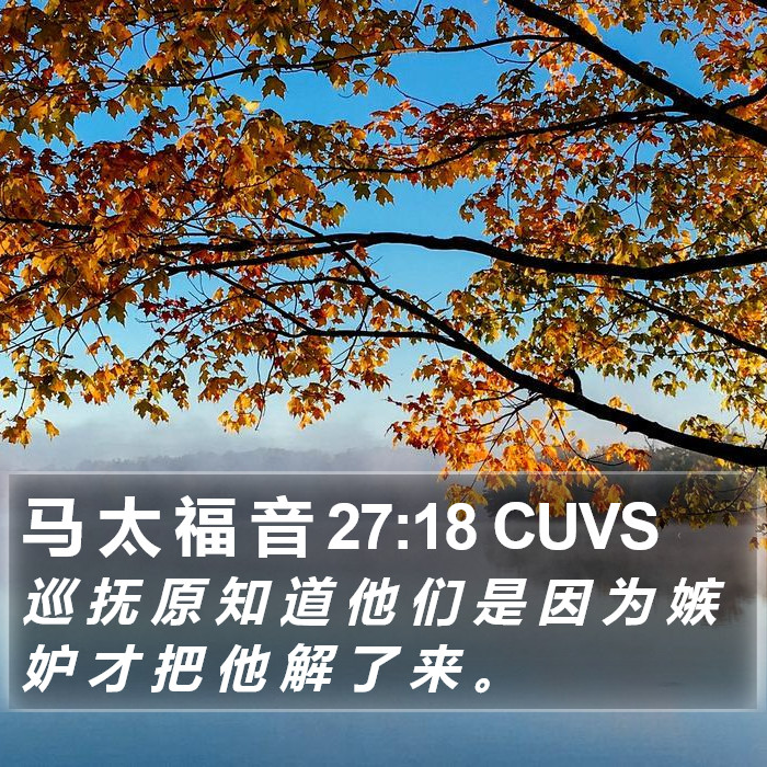 马 太 福 音 27:18 CUVS Bible Study