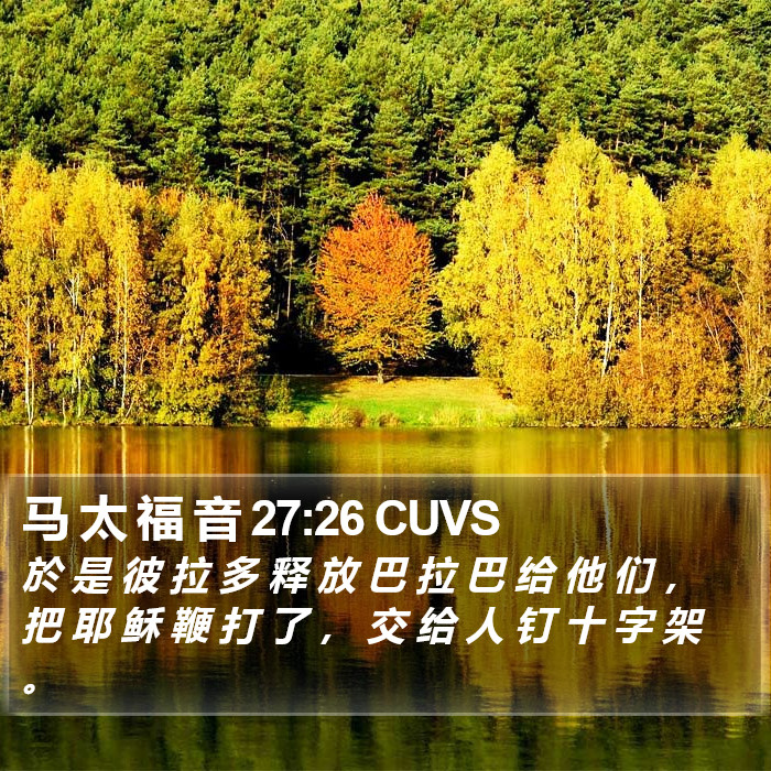 马 太 福 音 27:26 CUVS Bible Study