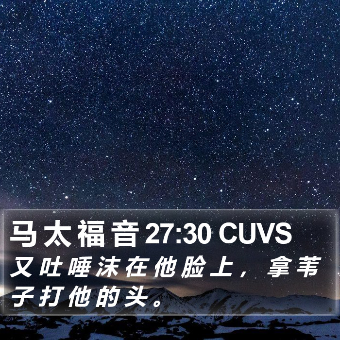马 太 福 音 27:30 CUVS Bible Study
