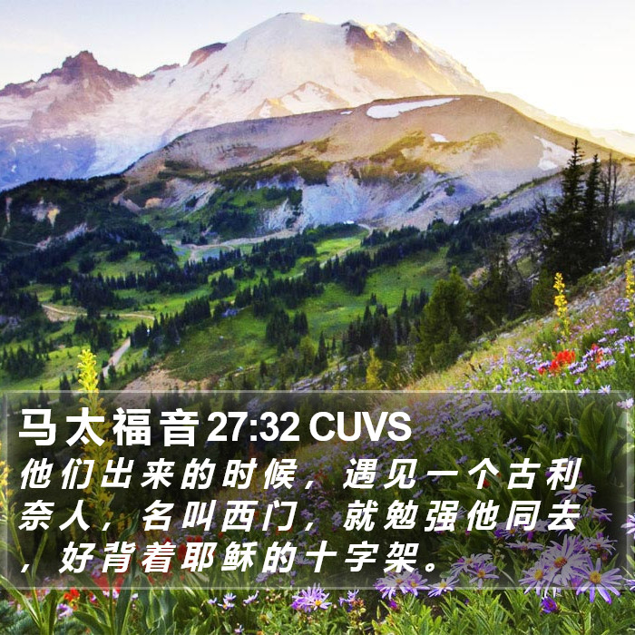 马 太 福 音 27:32 CUVS Bible Study