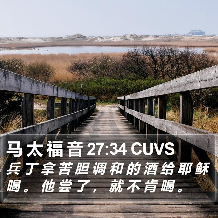 马 太 福 音 27:34 CUVS Bible Study