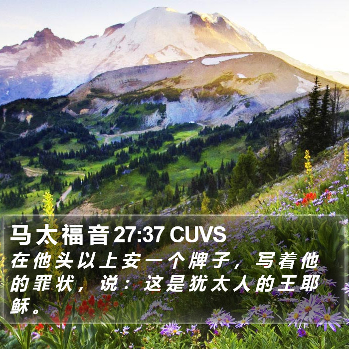 马 太 福 音 27:37 CUVS Bible Study