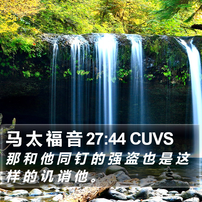 马 太 福 音 27:44 CUVS Bible Study