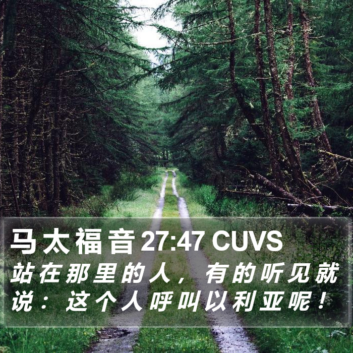 马 太 福 音 27:47 CUVS Bible Study