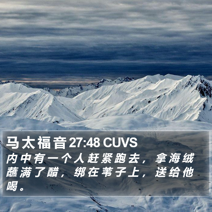 马 太 福 音 27:48 CUVS Bible Study
