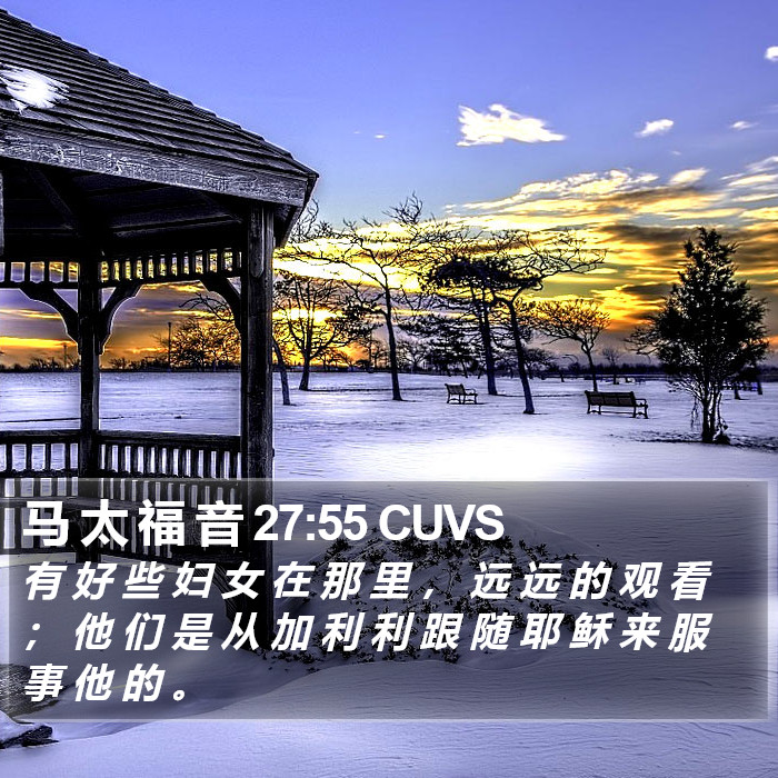 马 太 福 音 27:55 CUVS Bible Study