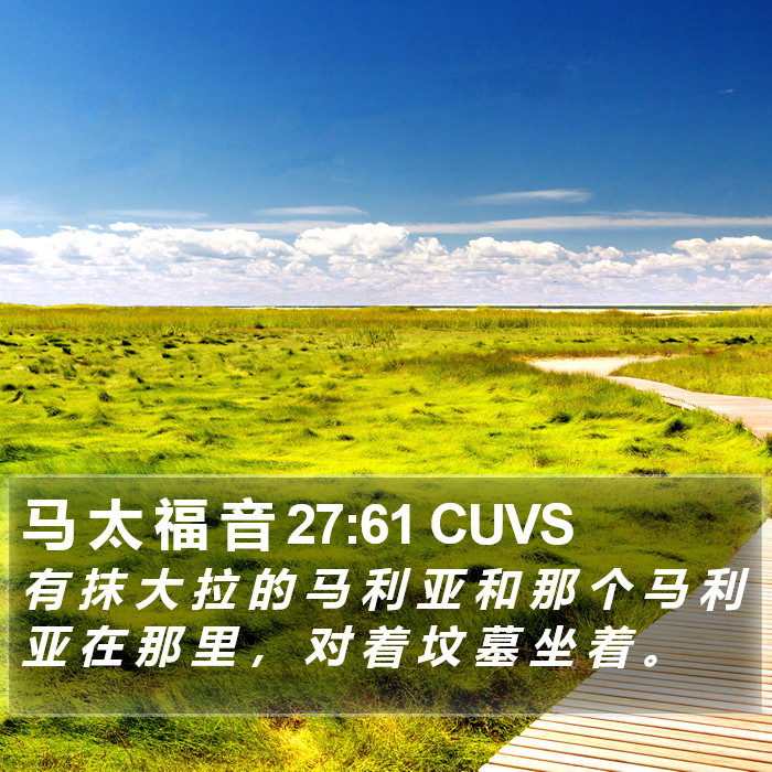 马 太 福 音 27:61 CUVS Bible Study