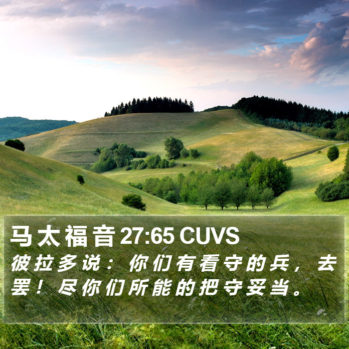马 太 福 音 27:65 CUVS Bible Study
