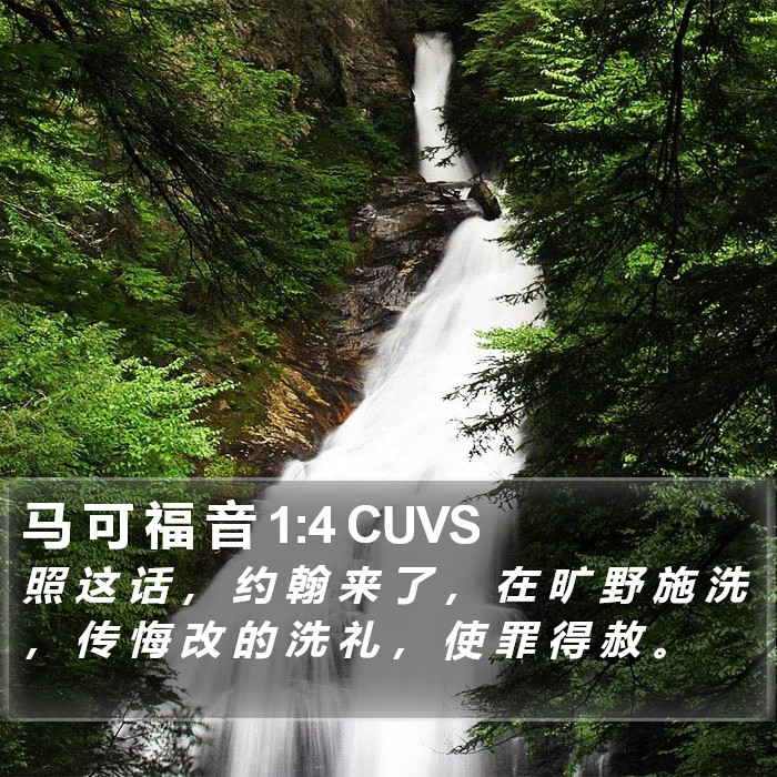 马 可 福 音 1:4 CUVS Bible Study