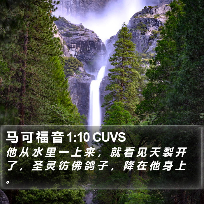 马 可 福 音 1:10 CUVS Bible Study