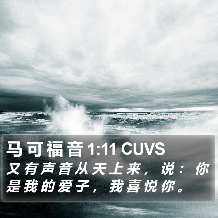 马 可 福 音 1:11 CUVS Bible Study