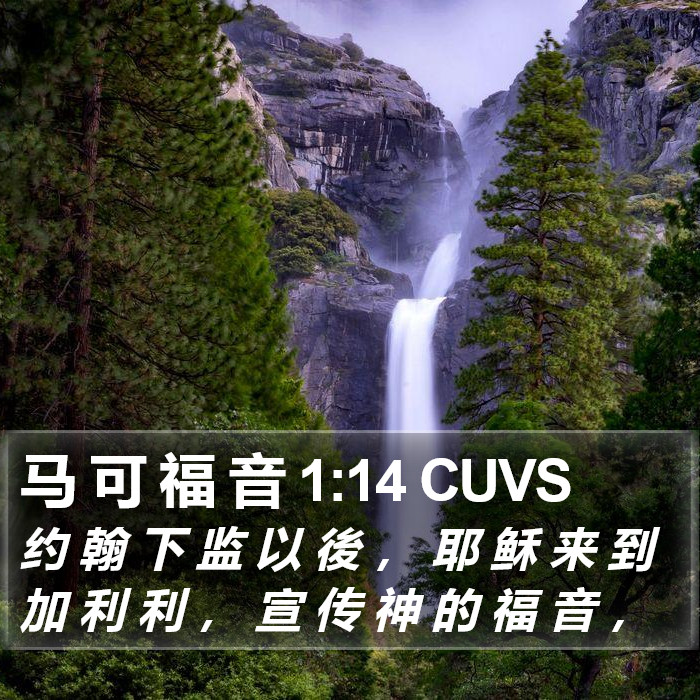 马 可 福 音 1:14 CUVS Bible Study