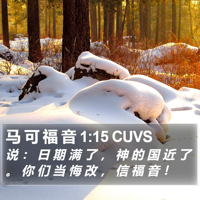 马 可 福 音 1:15 CUVS Bible Study