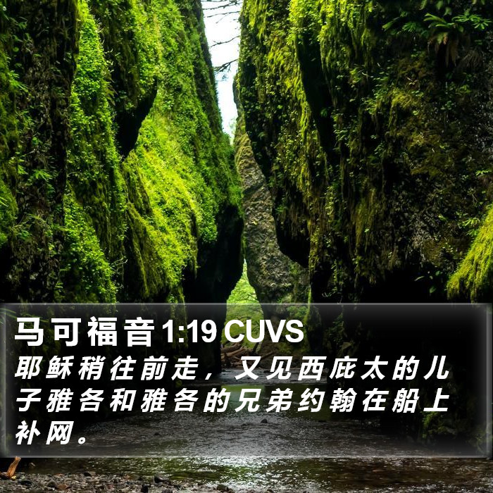 马 可 福 音 1:19 CUVS Bible Study