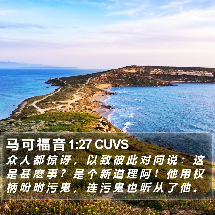 马 可 福 音 1:27 CUVS Bible Study