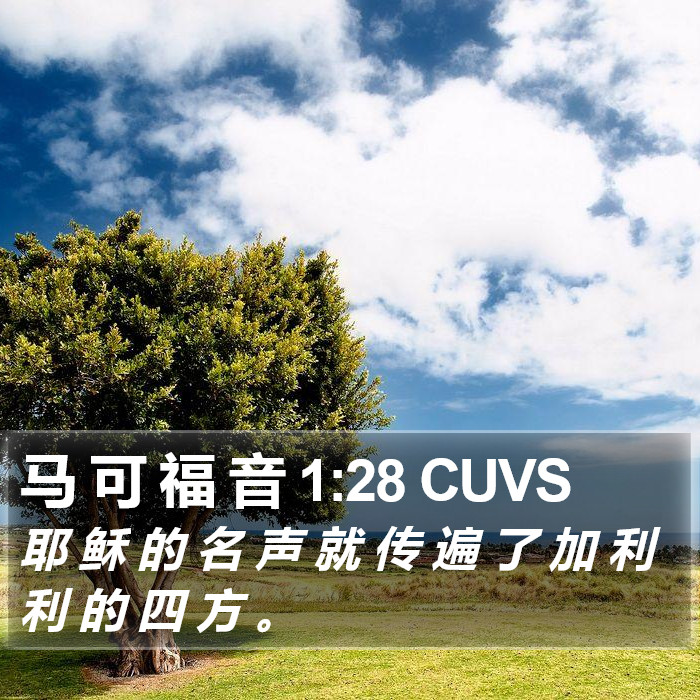 马 可 福 音 1:28 CUVS Bible Study