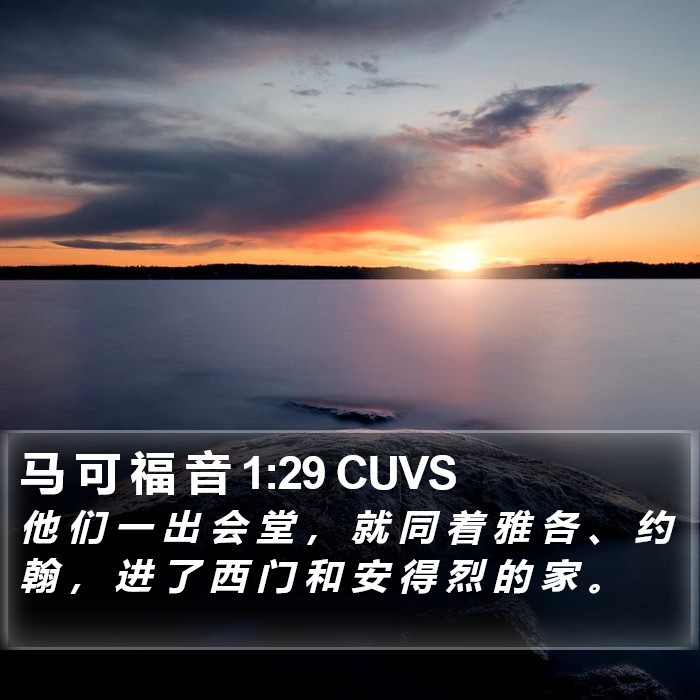 马 可 福 音 1:29 CUVS Bible Study