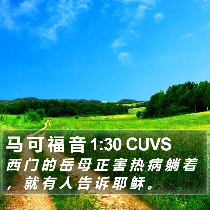 马 可 福 音 1:30 CUVS Bible Study