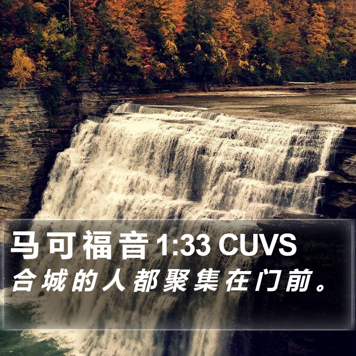 马 可 福 音 1:33 CUVS Bible Study