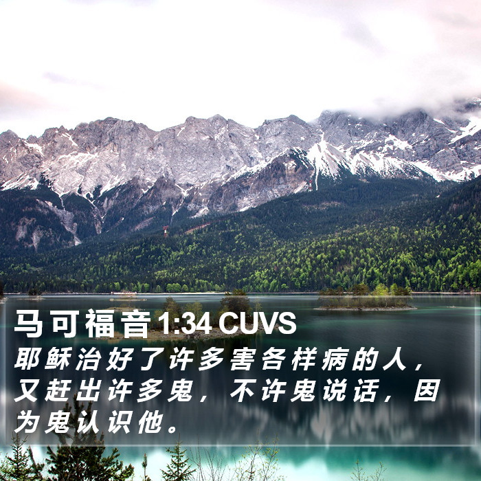 马 可 福 音 1:34 CUVS Bible Study