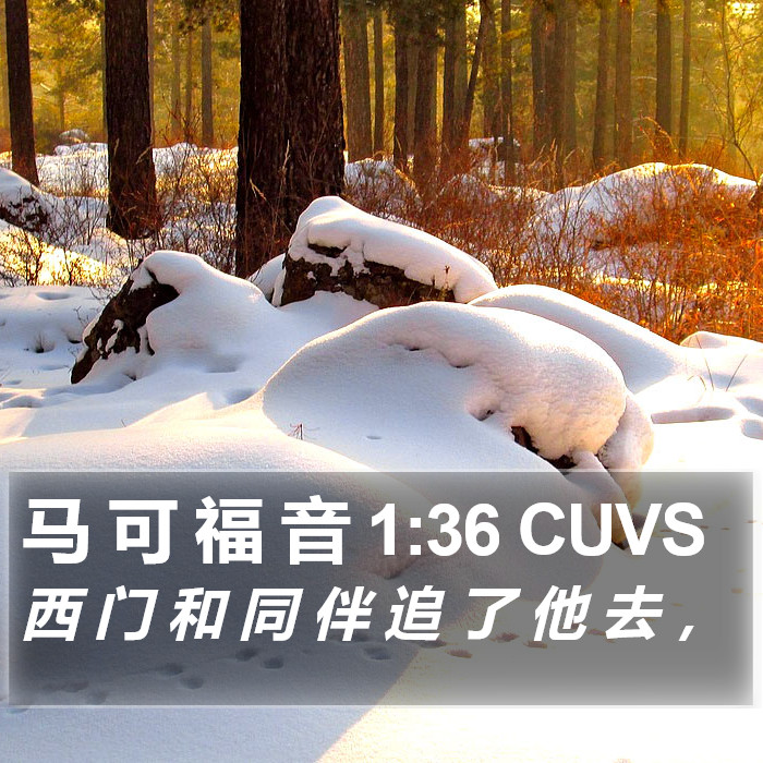 马 可 福 音 1:36 CUVS Bible Study