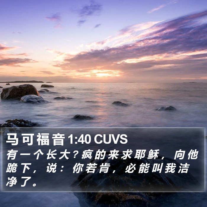 马 可 福 音 1:40 CUVS Bible Study