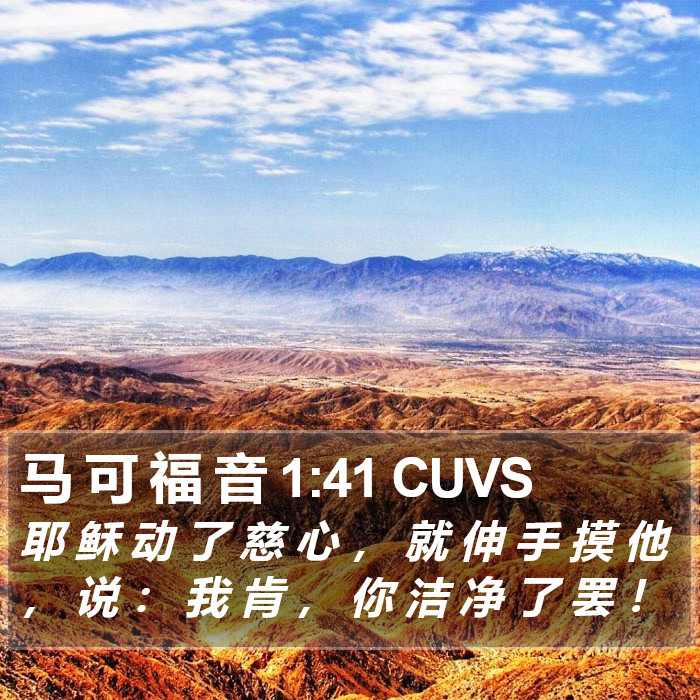 马 可 福 音 1:41 CUVS Bible Study