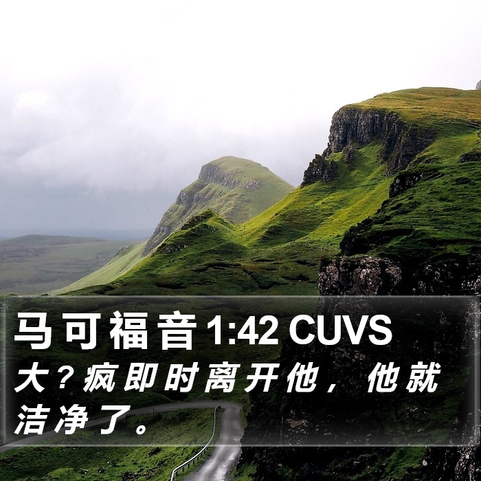 马 可 福 音 1:42 CUVS Bible Study