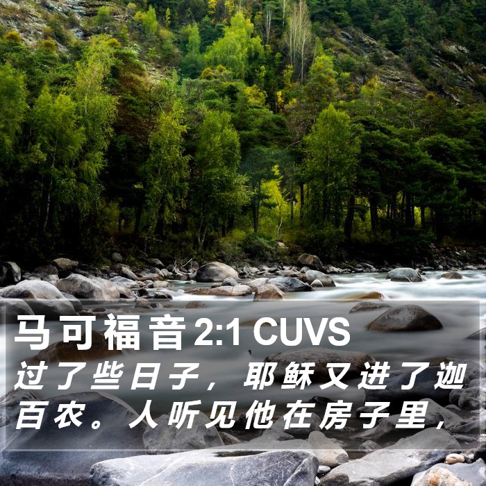 马 可 福 音 2:1 CUVS Bible Study