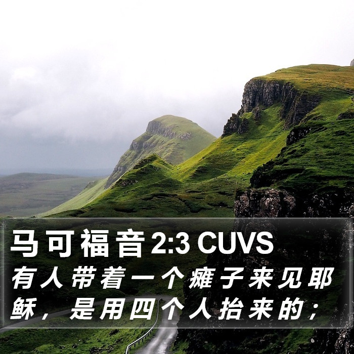 马 可 福 音 2:3 CUVS Bible Study