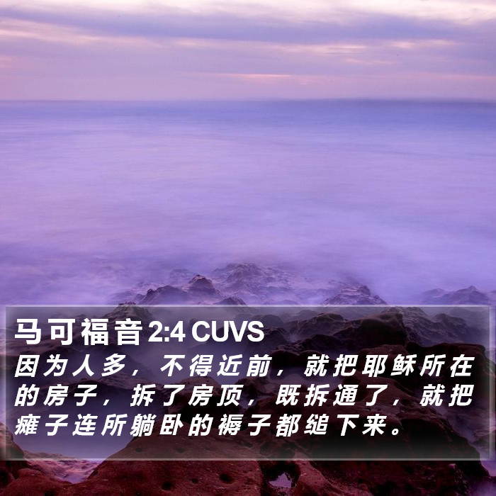 马 可 福 音 2:4 CUVS Bible Study